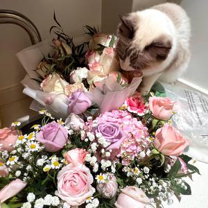 免费看日大烧逼
