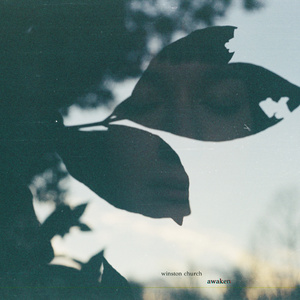 免费看日大烧逼
